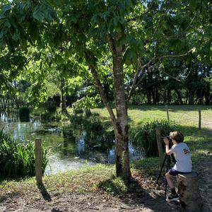 La mare aux iris 