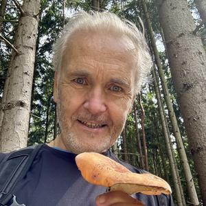 Mag. Helmut Langbauer