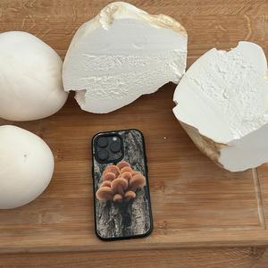 Giant Puffball