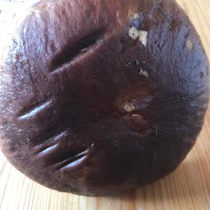Unknown Species
