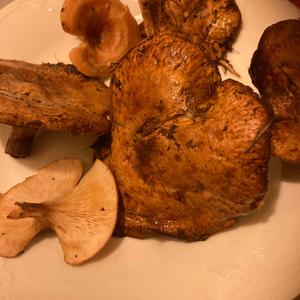 Unknown Species