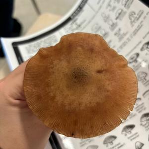 Unknown Species