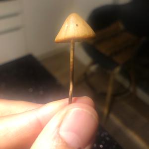 Unknown Species
