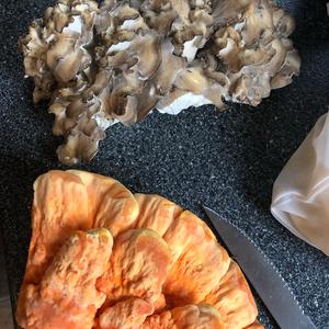 Chicken Mushroom