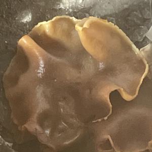 Unknown Species