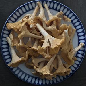 Unknown Species