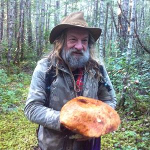 King Bolete