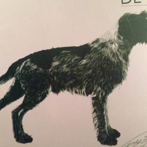 Unknown Breed