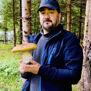 King Bolete