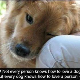 Unknown Breed