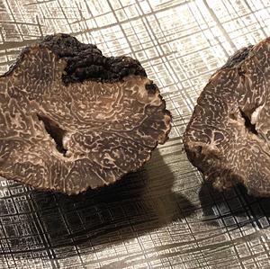 Perigord Truffle