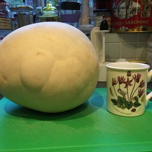 Giant Puffball