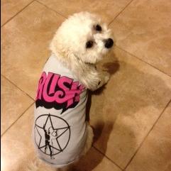 Unknown Breed