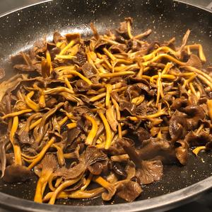 Trumpet Chanterelle