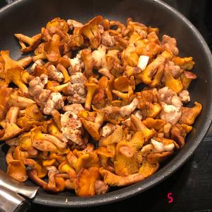 Chanterelle, Common