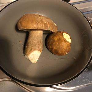 Summer Bolete