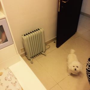 Unknown Breed