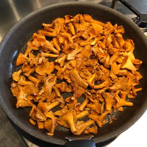 Chanterelle, Common