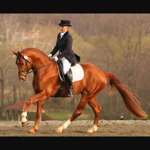 Hanoverian