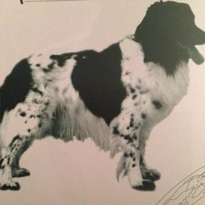 Unknown Breed