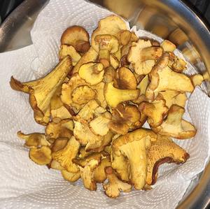 Chanterelle, Common