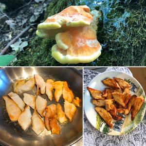 Chicken Mushroom