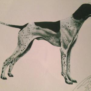 Unknown Breed