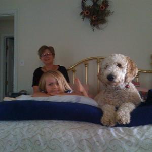 Unknown Breed