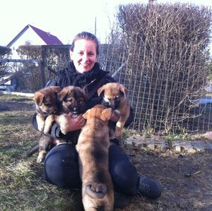 Unknown Breed