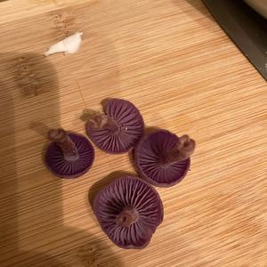 Amethyst Deceiver