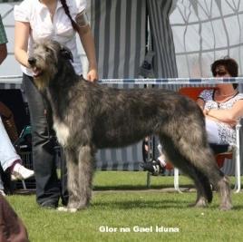 Unknown Breed