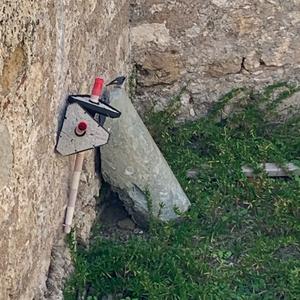 Black Redstart