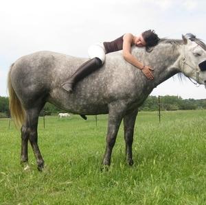Unknown Breed