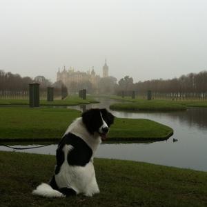 Unknown Breed