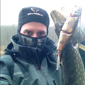 Northern pike