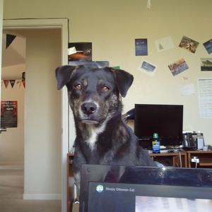 Unknown Breed