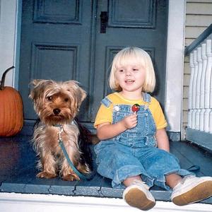 Yorkshire Terrier