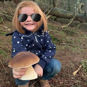 King Bolete