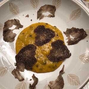 Perigord Truffle