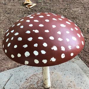 Fly Agaric