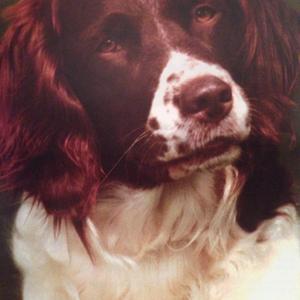 Unknown Breed