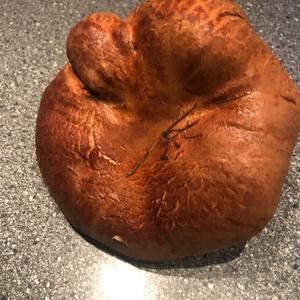 Unknown Species