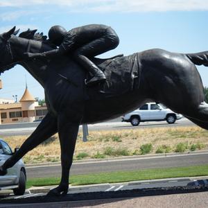 American Quarter Horse