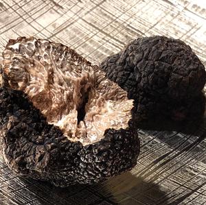 Perigord Truffle