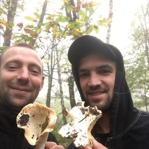 Hedgehog Fungus, Common