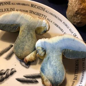 Unbekannte Art