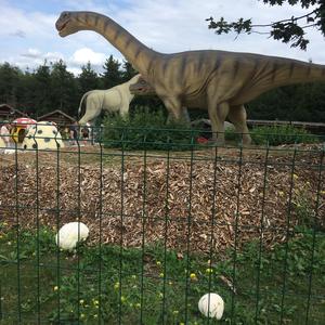 Giant Puffball