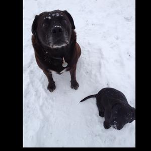 Unknown Breed