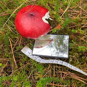 Tall Russula