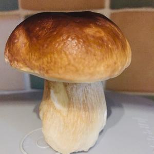 King Bolete